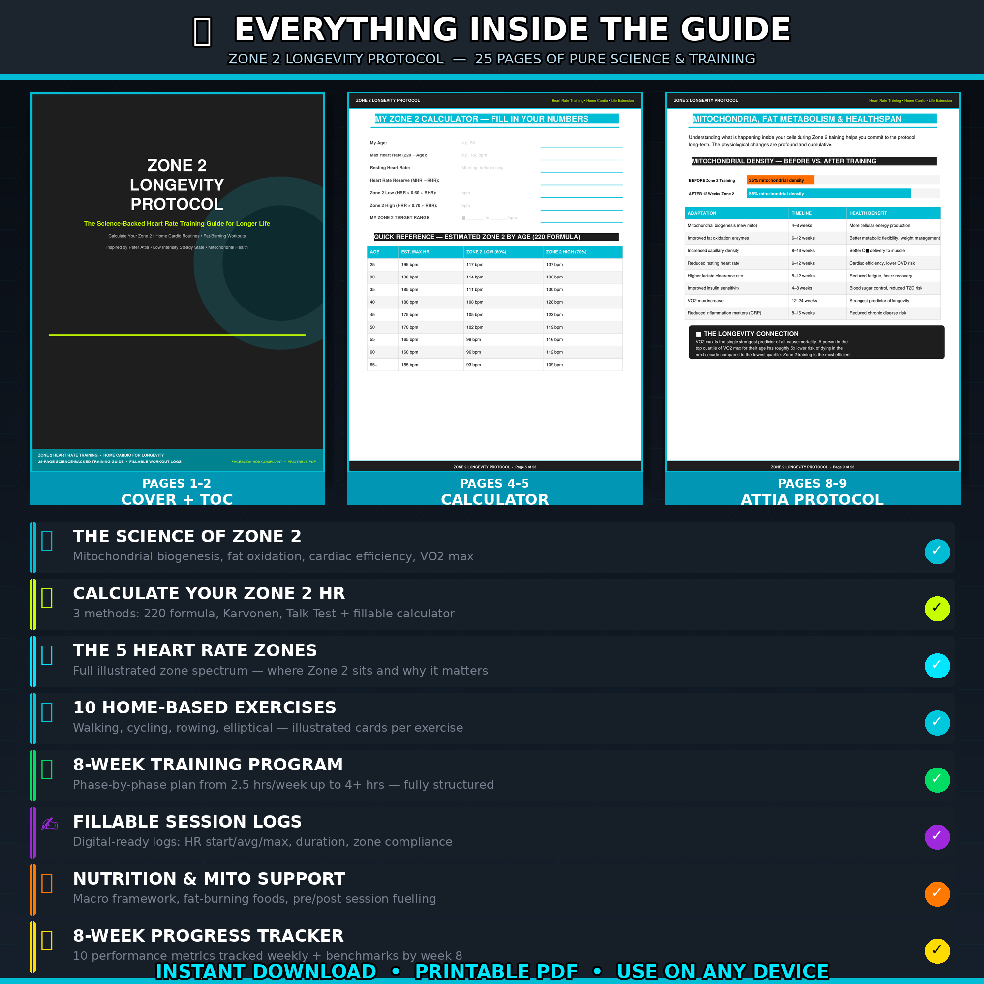 Zone 2 Heart Rate Training Guide | Longevity Workout PDF | Home Cardio Plan | Calculate Zone 2 | Fat Burning Fitness eBook | Instant Download