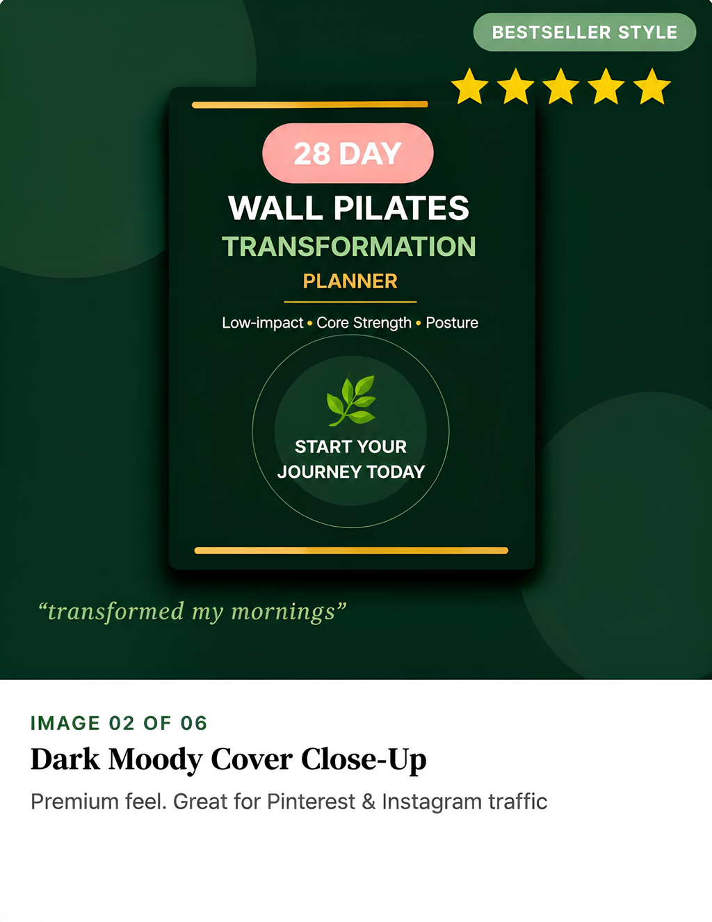 28 Day Wall Pilates Planner PDF, At Home Workout Journal, Low Impact Fitness Digital Download, Core Strength Posture Tracking Template