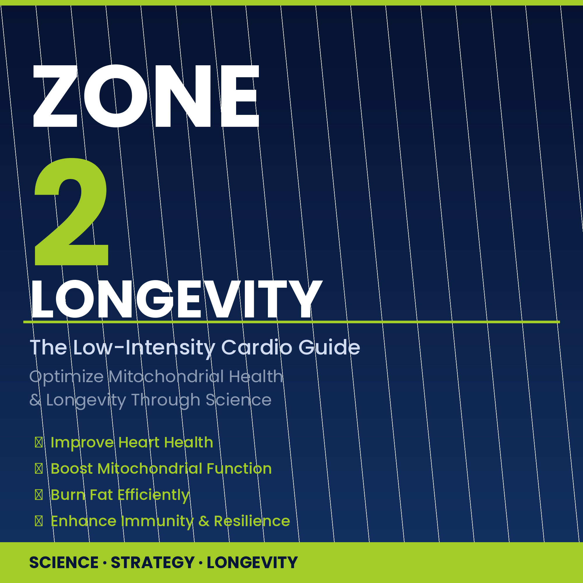 Zone 2 Cardio Guide PDF — Peter Attia Protocol for Longevity, Mitochondrial Health & Fat Burning | 12-Week Low-Intensity Heart Rate Training Plan for Beginners