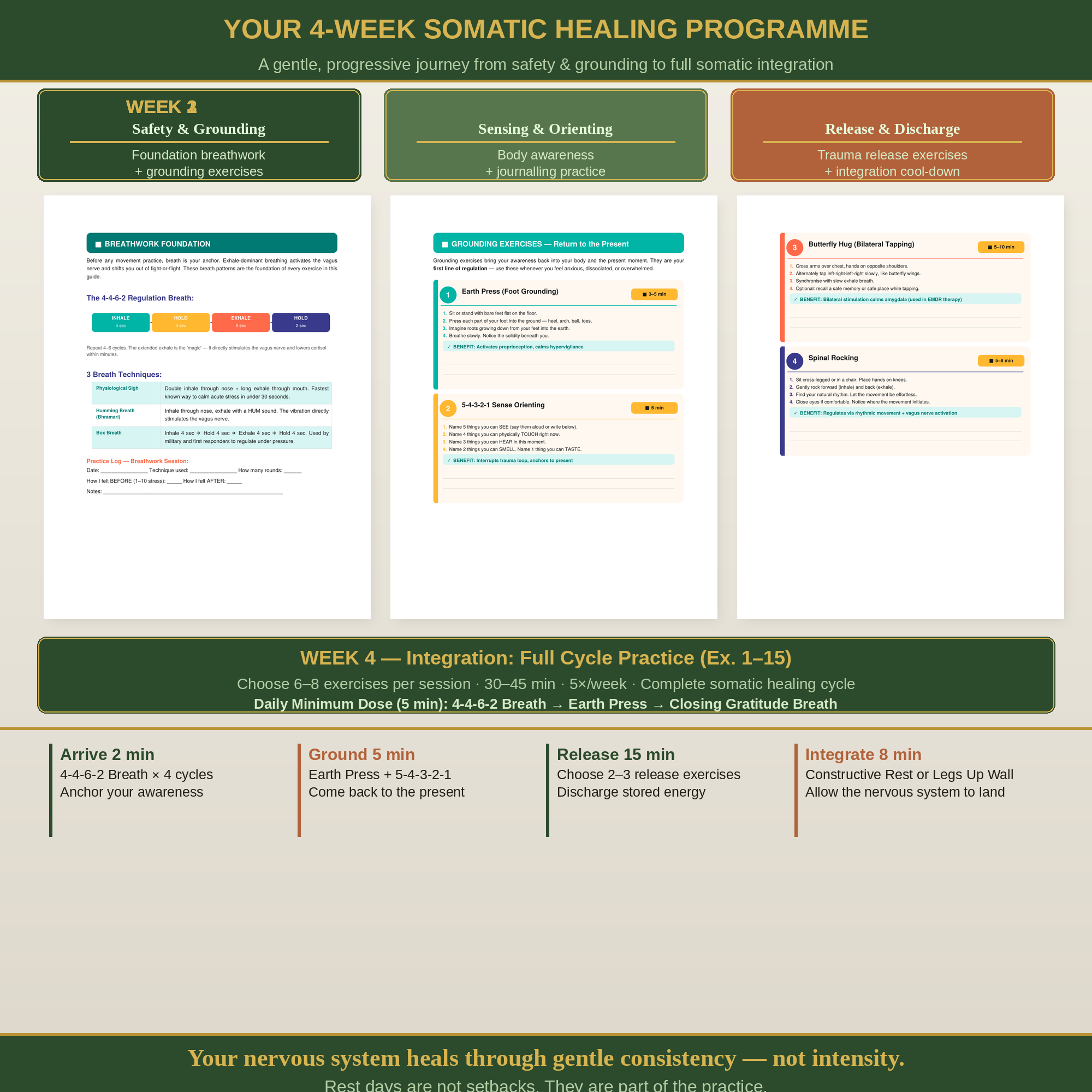Somatic Healing Workout Guide — 4-Week Trauma Release & Nervous System Regulation PDF | 15 Somatic Exercises for Anxiety, PTSD, Burnout & Stress Relief | No Equipment Needed