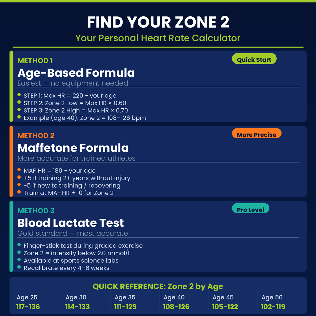 Zone 2 Cardio Guide PDF — Peter Attia Protocol for Longevity, Mitochondrial Health & Fat Burning | 12-Week Low-Intensity Heart Rate Training Plan for Beginners