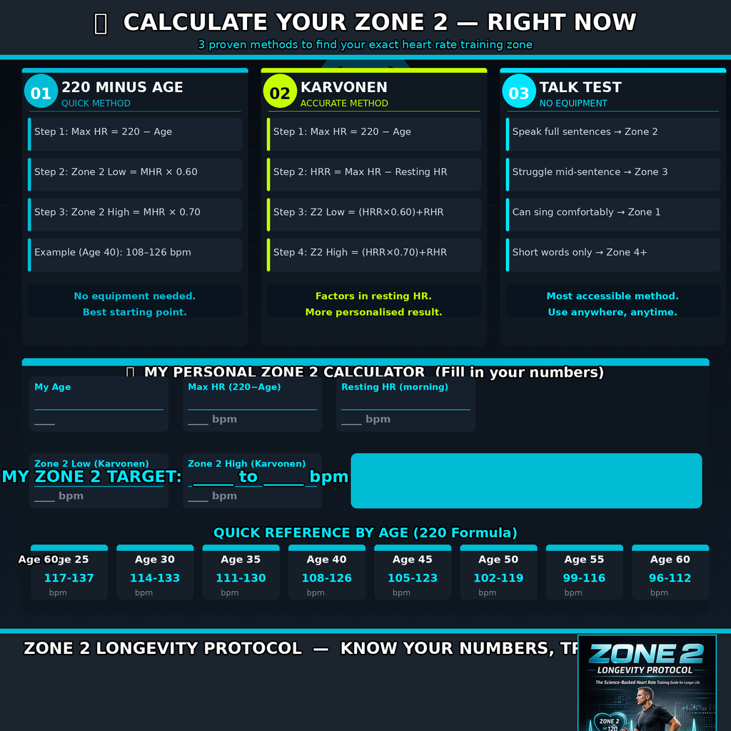 Zone 2 Heart Rate Training Guide | Longevity Workout PDF | Home Cardio Plan | Calculate Zone 2 | Fat Burning Fitness eBook | Instant Download