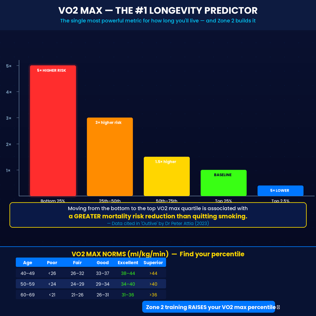 Zone 2 Blueprint: Heart Rate Training & Longevity Guide PDF