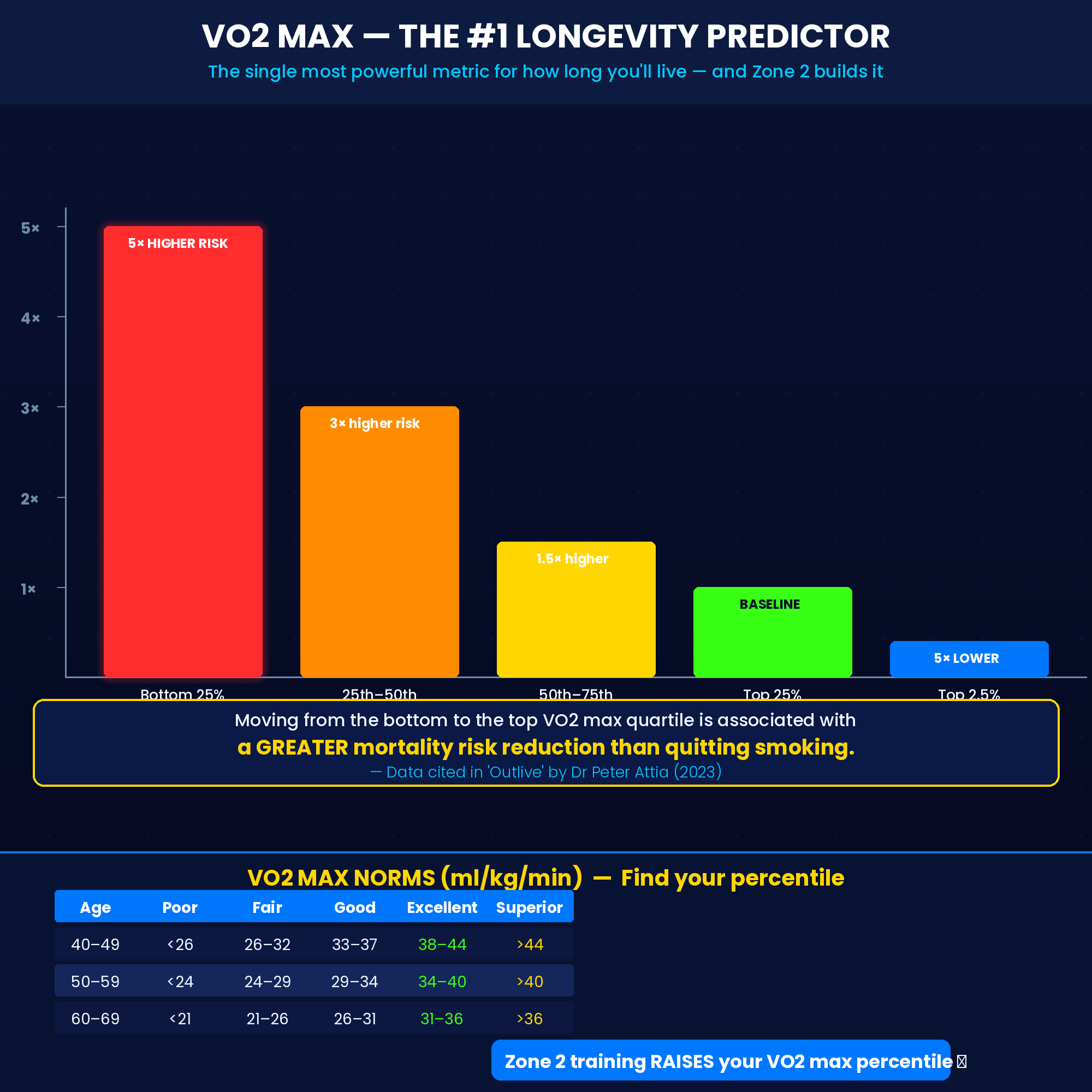Zone 2 Blueprint: Heart Rate Training & Longevity Guide PDF