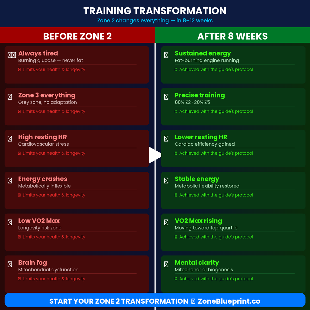 Zone 2 Blueprint: Heart Rate Training & Longevity Guide PDF