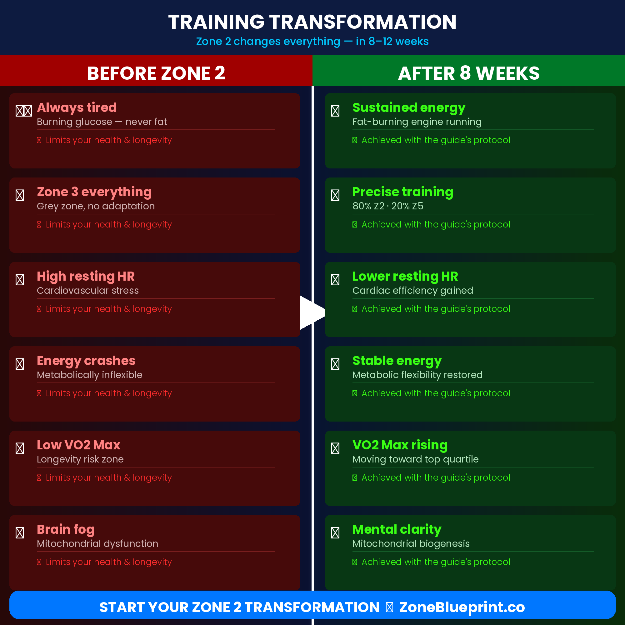 Zone 2 Blueprint: Heart Rate Training & Longevity Guide PDF