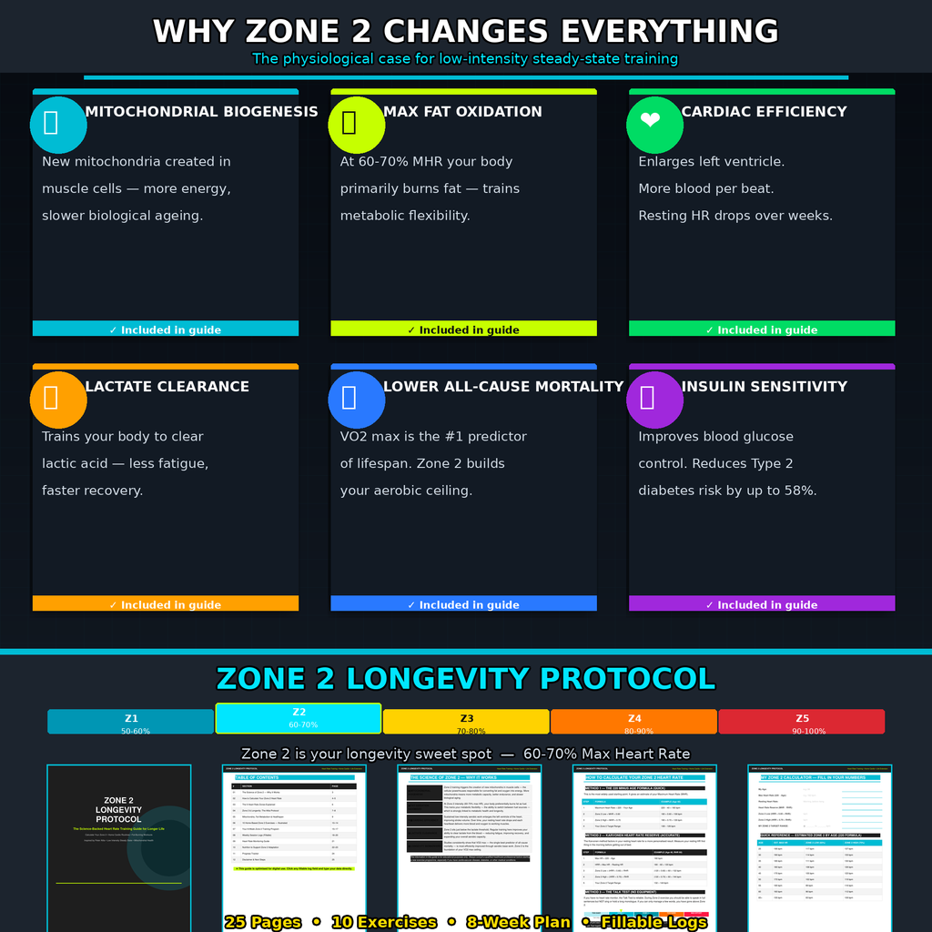 Zone 2 Heart Rate Training Guide | Longevity Workout PDF | Home Cardio Plan | Calculate Zone 2 | Fat Burning Fitness eBook | Instant Download