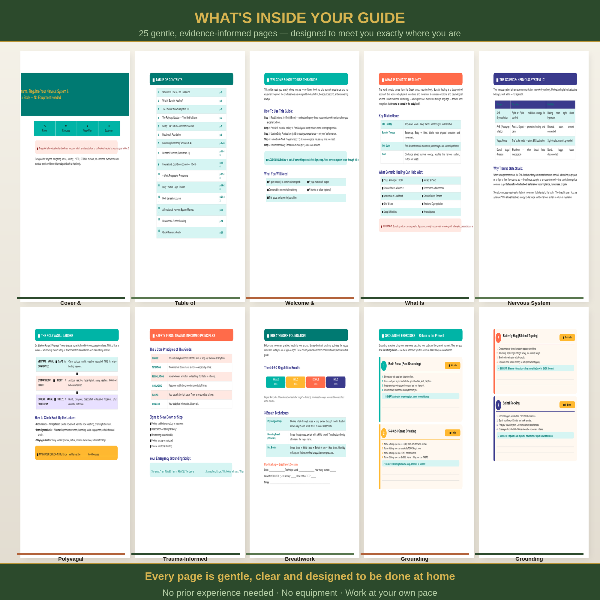 Somatic Healing Workout Guide — 4-Week Trauma Release & Nervous System Regulation PDF | 15 Somatic Exercises for Anxiety, PTSD, Burnout & Stress Relief | No Equipment Needed