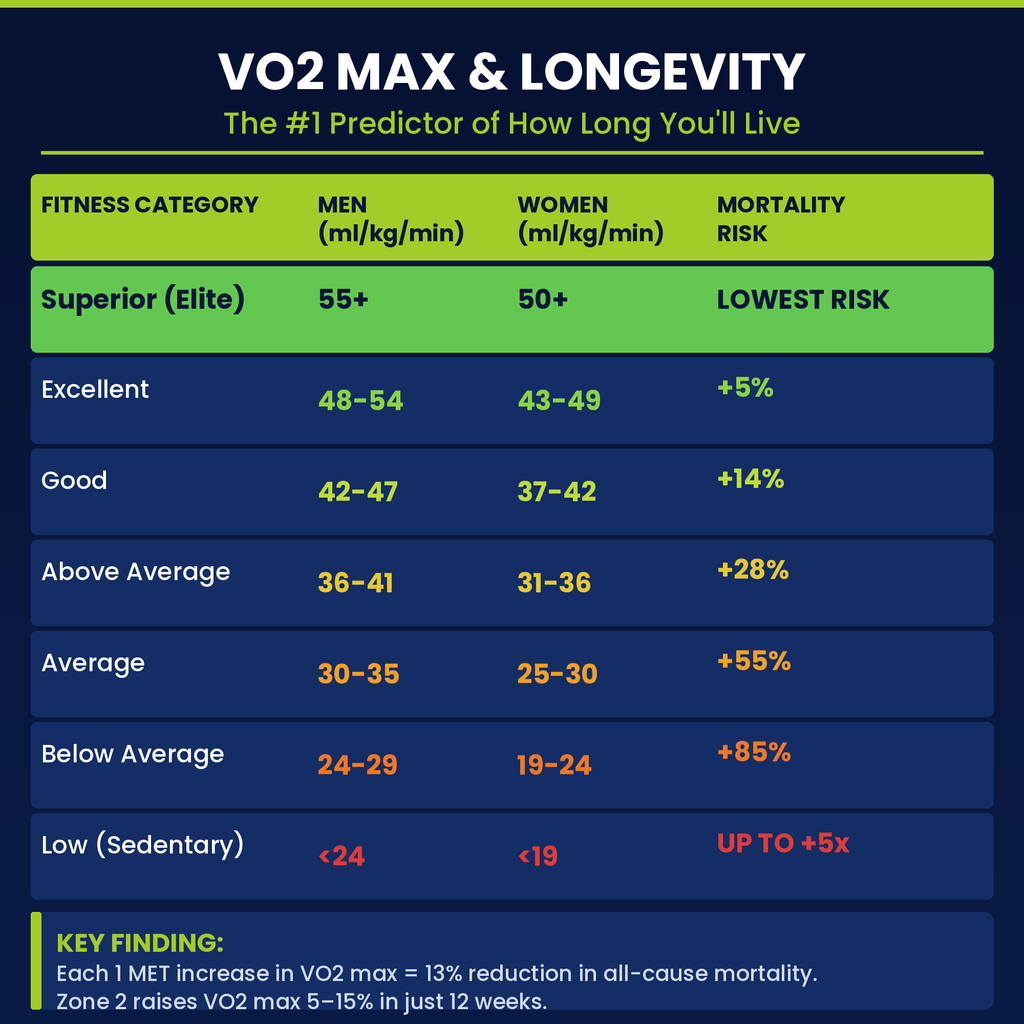 Zone 2 Cardio Guide PDF — Peter Attia Protocol for Longevity, Mitochondrial Health & Fat Burning | 12-Week Low-Intensity Heart Rate Training Plan for Beginners