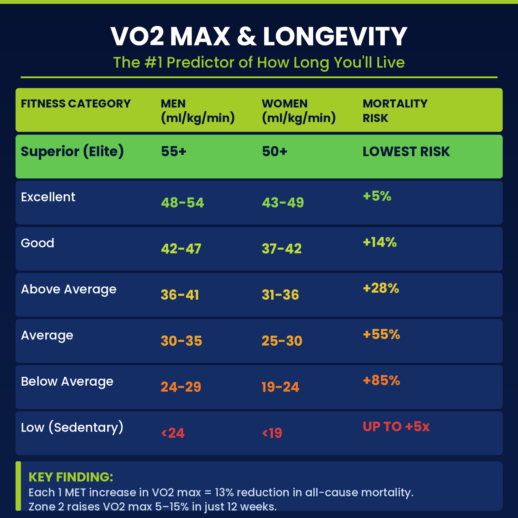 Zone 2 Cardio Guide PDF — Peter Attia Protocol for Longevity, Mitochondrial Health & Fat Burning | 12-Week Low-Intensity Heart Rate Training Plan for Beginners