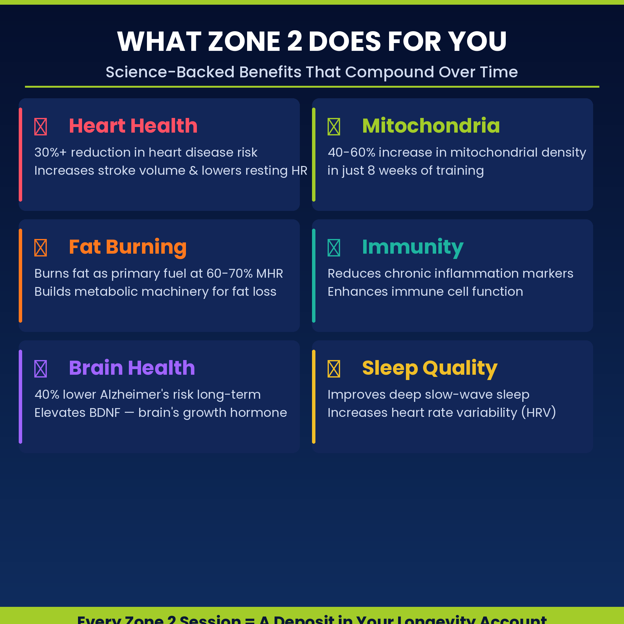Zone 2 Cardio Guide PDF — Peter Attia Protocol for Longevity, Mitochondrial Health & Fat Burning | 12-Week Low-Intensity Heart Rate Training Plan for Beginners