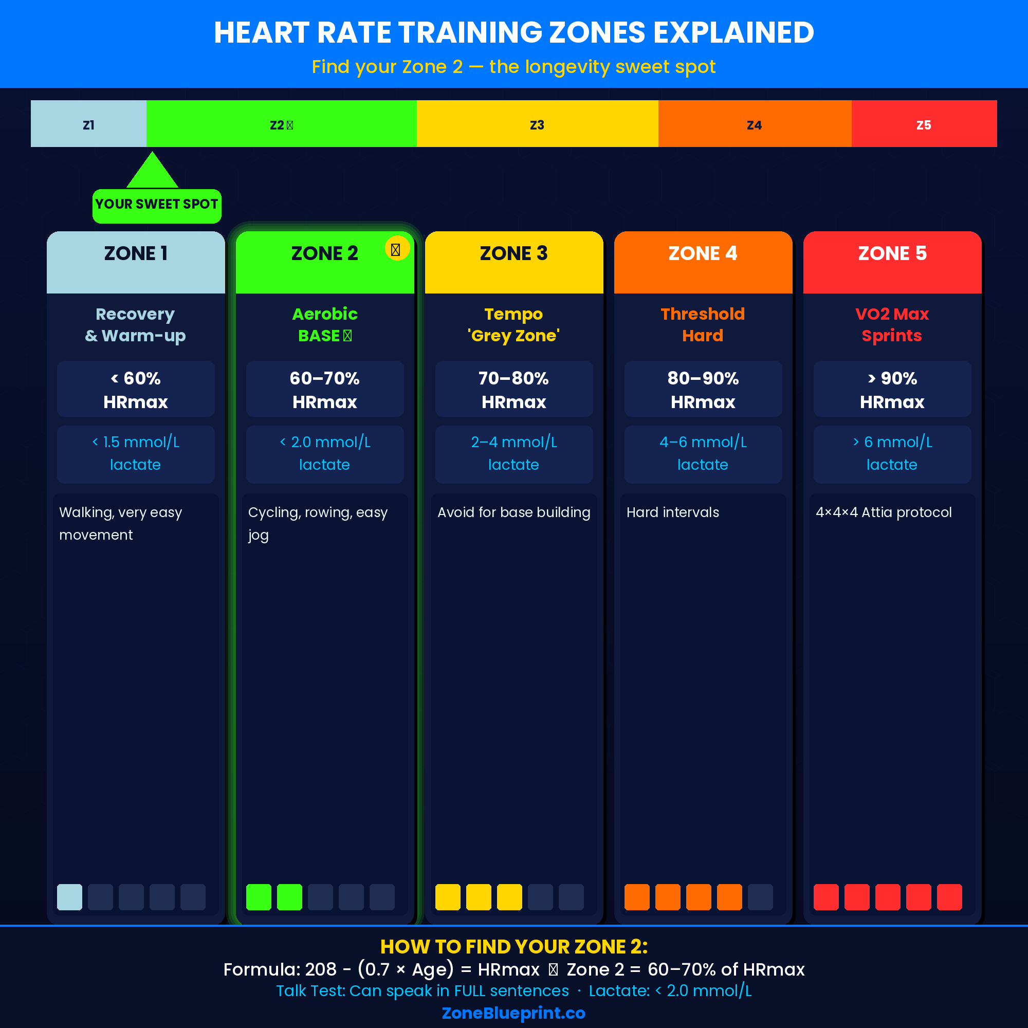 Zone 2 Blueprint: Heart Rate Training & Longevity Guide PDF