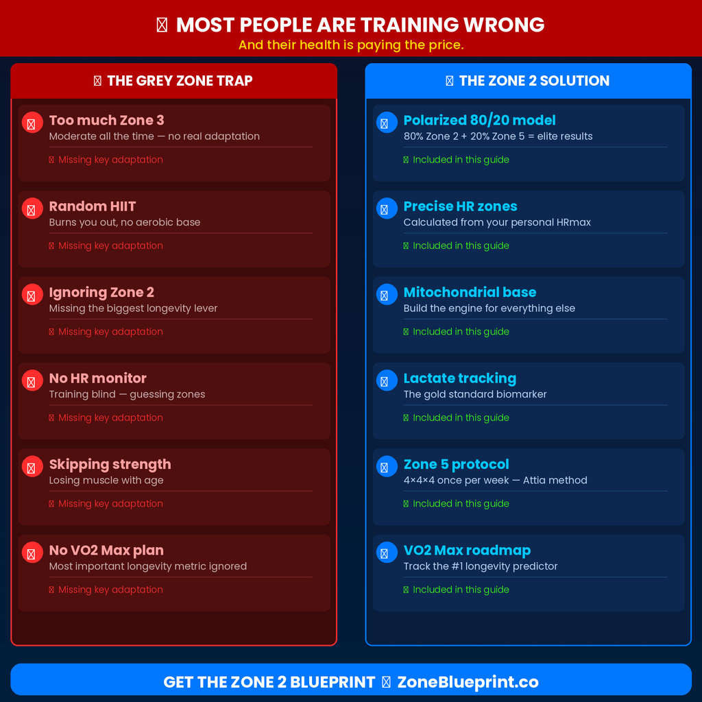 Zone 2 Blueprint: Heart Rate Training & Longevity Guide PDF
