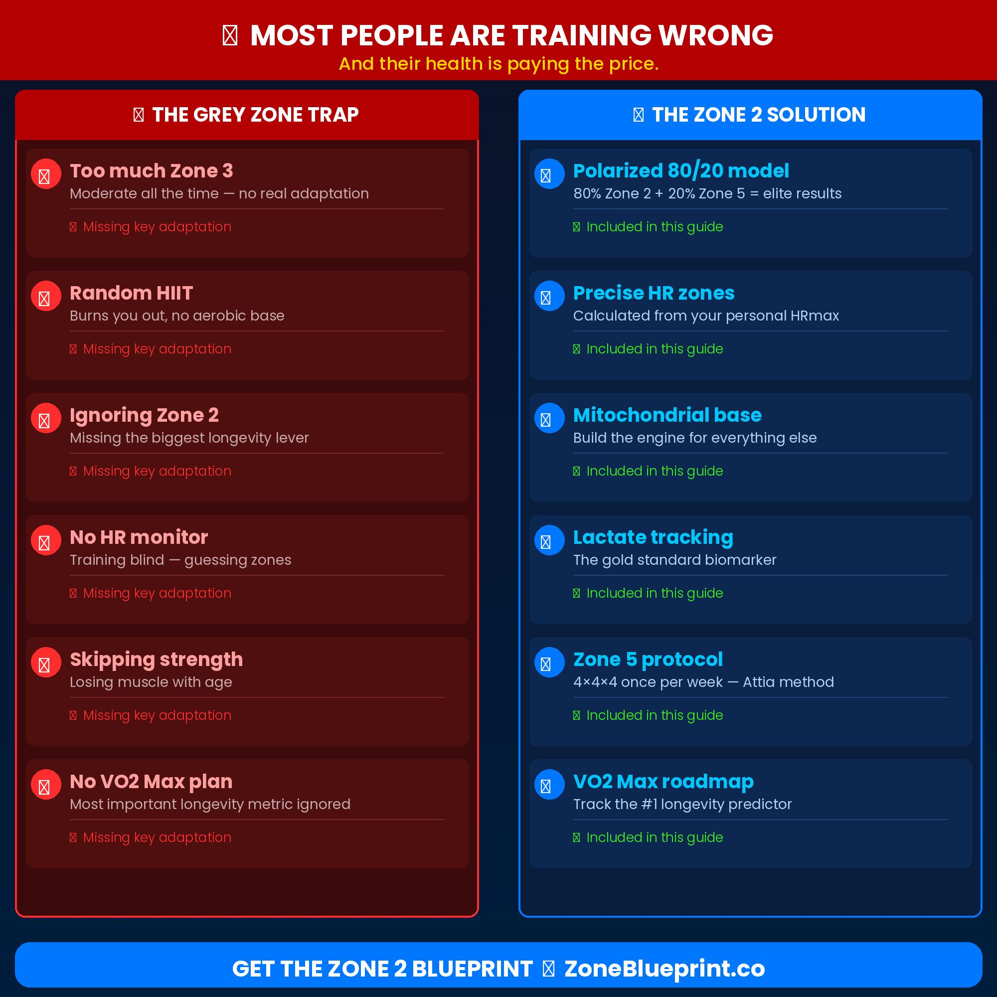 Zone 2 Blueprint: Heart Rate Training & Longevity Guide PDF