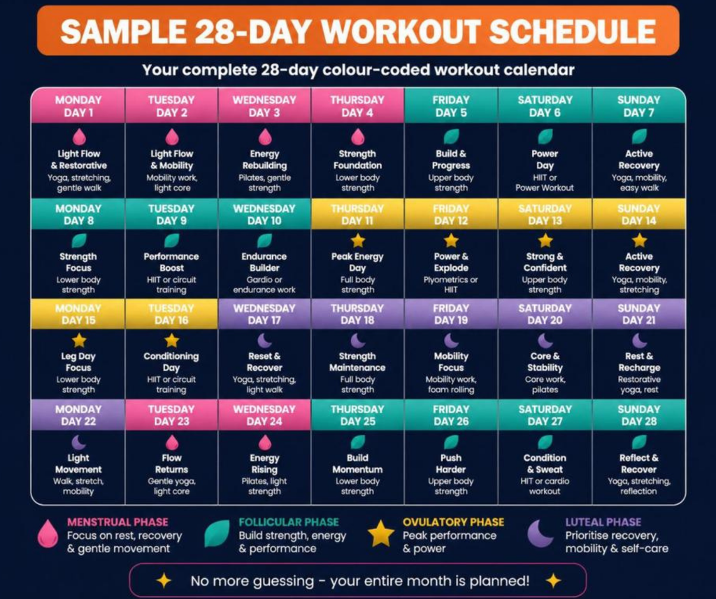 Cycle Synced Fitness & Nutrition Log for Women, Hormone Balance Planner, Menstrual Cycle Workout Tracker, Wellness Journal PDF, Printable Fitness Planner