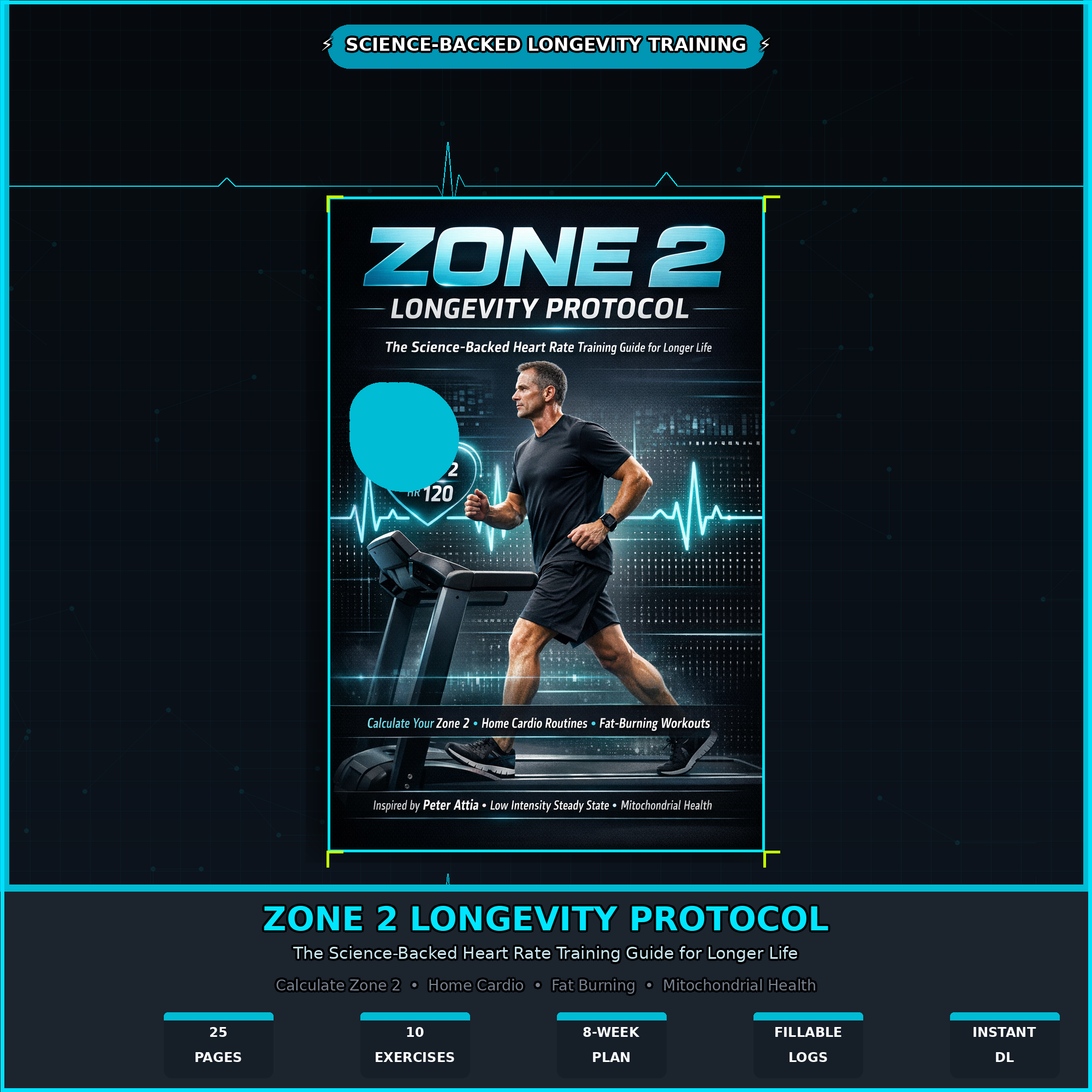 Zone 2 Heart Rate Training Guide | Longevity Workout PDF | Home Cardio Plan | Calculate Zone 2 | Fat Burning Fitness eBook | Instant Download