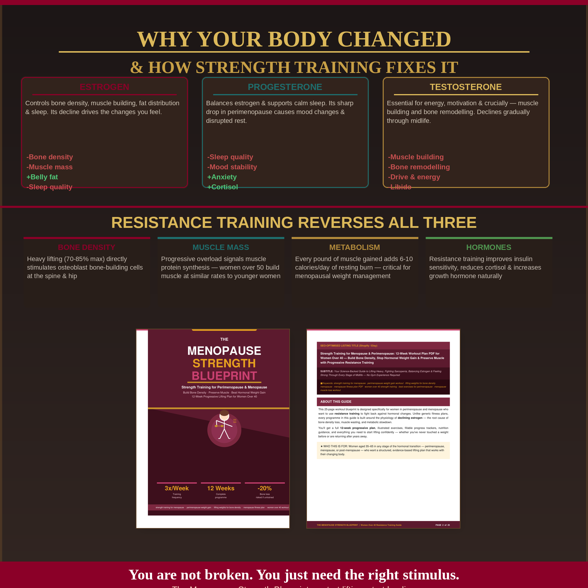 The Menopause Strength Blueprint — 12-Week Strength Training Workout Plan PDF for Women Over 40 | Build Bone Density, Stop Hormonal Weight Gain & Preserve Muscle Through Perimenopause & Menopause